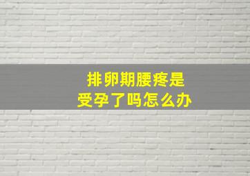 排卵期腰疼是受孕了吗怎么办