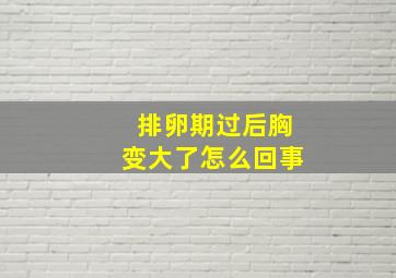 排卵期过后胸变大了怎么回事