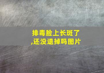 排毒脸上长斑了,还没退掉吗图片