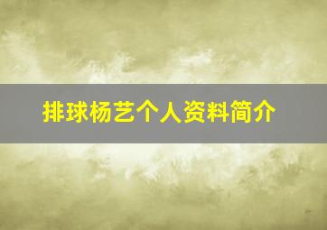 排球杨艺个人资料简介