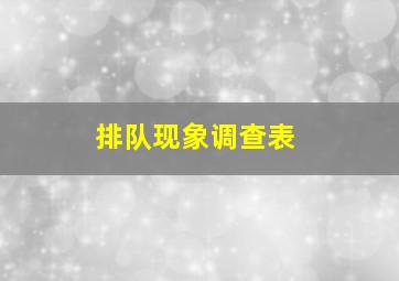 排队现象调查表