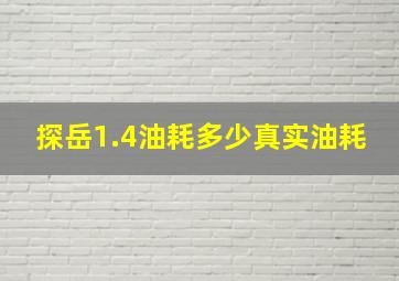 探岳1.4油耗多少真实油耗