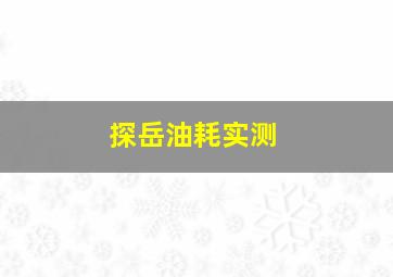 探岳油耗实测