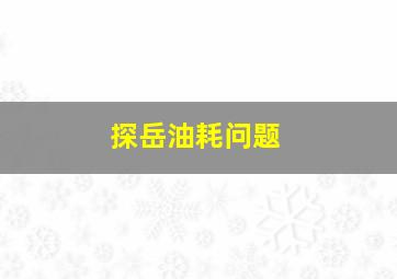 探岳油耗问题