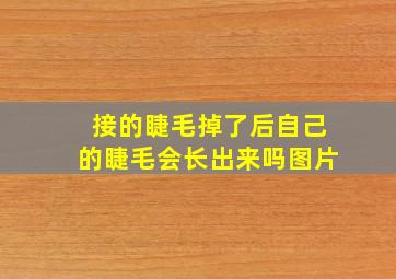 接的睫毛掉了后自己的睫毛会长出来吗图片