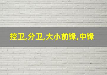 控卫,分卫,大小前锋,中锋