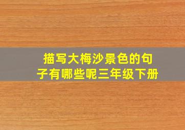 描写大梅沙景色的句子有哪些呢三年级下册