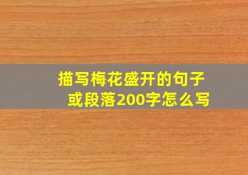 描写梅花盛开的句子或段落200字怎么写