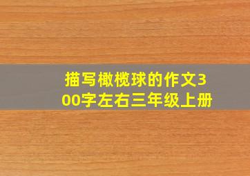 描写橄榄球的作文300字左右三年级上册