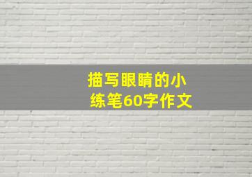 描写眼睛的小练笔60字作文