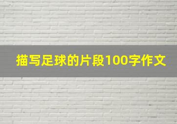 描写足球的片段100字作文