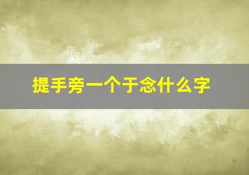 提手旁一个于念什么字