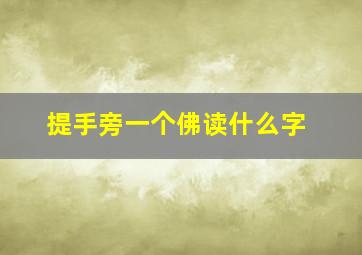 提手旁一个佛读什么字