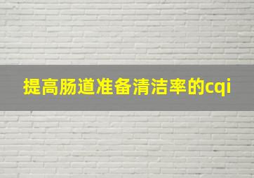 提高肠道准备清洁率的cqi