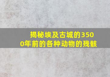 揭秘埃及古城的3500年前的各种动物的残骸