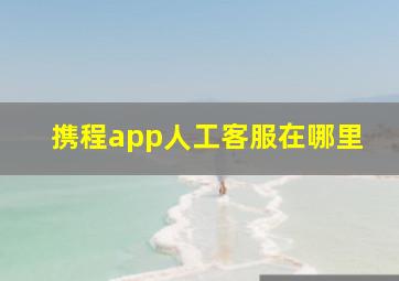 携程app人工客服在哪里