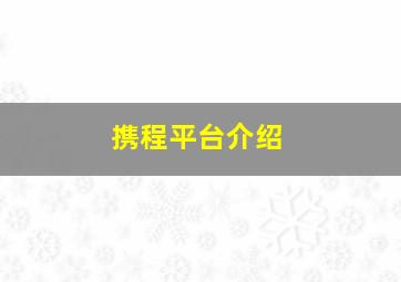 携程平台介绍