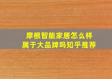 摩根智能家居怎么样属于大品牌吗知乎推荐