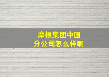 摩根集团中国分公司怎么样啊