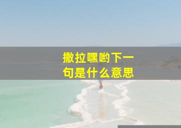 撒拉嘿哟下一句是什么意思