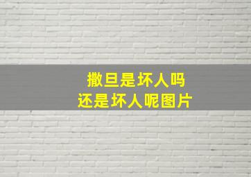 撒旦是坏人吗还是坏人呢图片