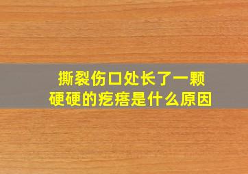 撕裂伤口处长了一颗硬硬的疙瘩是什么原因