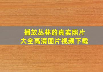 播放丛林的真实照片大全高清图片视频下载