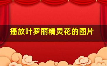 播放叶罗丽精灵花的图片