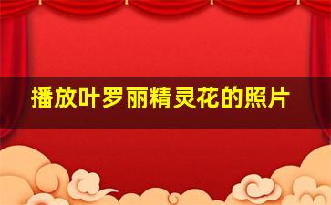 播放叶罗丽精灵花的照片