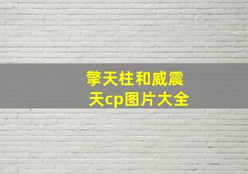 擎天柱和威震天cp图片大全