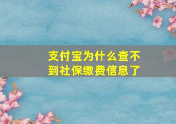 支付宝为什么查不到社保缴费信息了