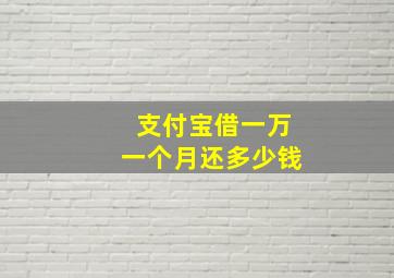 支付宝借一万一个月还多少钱