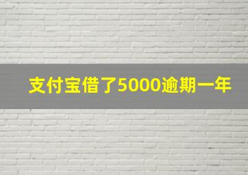 支付宝借了5000逾期一年