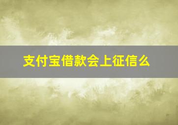 支付宝借款会上征信么