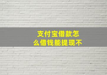 支付宝借款怎么借钱能提现不