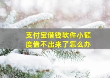 支付宝借钱软件小额度借不出来了怎么办