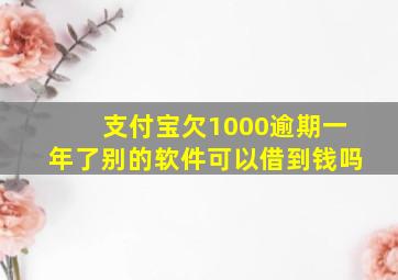 支付宝欠1000逾期一年了别的软件可以借到钱吗