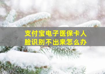 支付宝电子医保卡人脸识别不出来怎么办