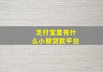 支付宝里有什么小额贷款平台