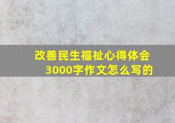 改善民生福祉心得体会3000字作文怎么写的