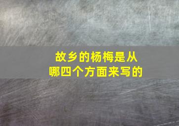 故乡的杨梅是从哪四个方面来写的