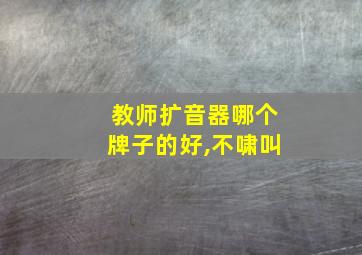 教师扩音器哪个牌子的好,不啸叫