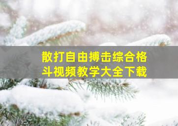 散打自由搏击综合格斗视频教学大全下载