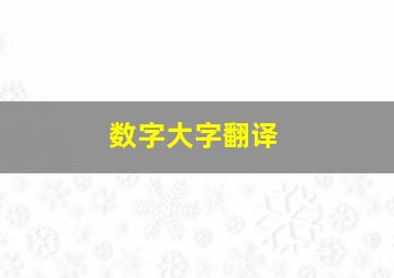 数字大字翻译