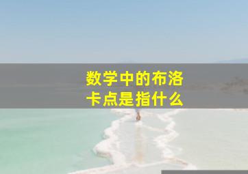 数学中的布洛卡点是指什么