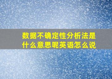 数据不确定性分析法是什么意思呢英语怎么说