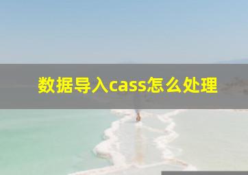 数据导入cass怎么处理