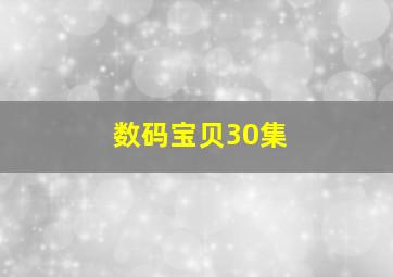 数码宝贝30集