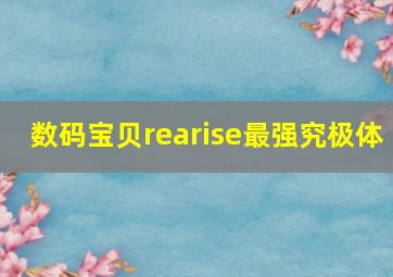 数码宝贝rearise最强究极体