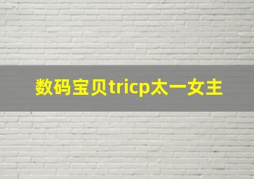 数码宝贝tricp太一女主